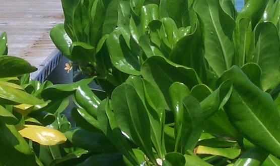 广州山之风环保科技有限公司招聘