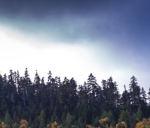 我的世界怎么射箭射得远原版