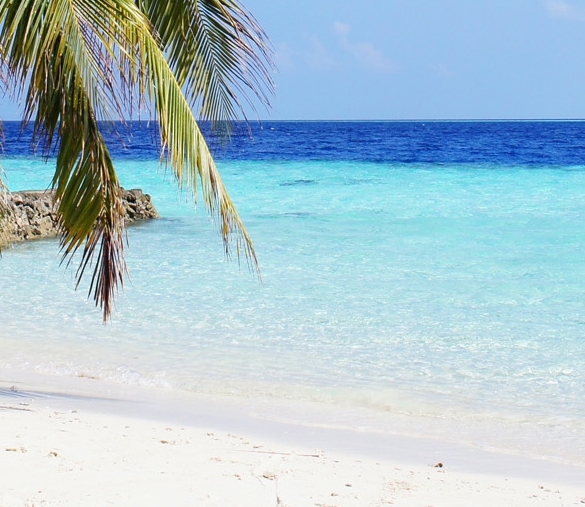 关于科技新闻的一段话