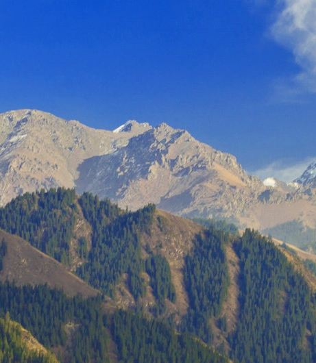 齐白石海为龙世界云是鹤家乡书法作品