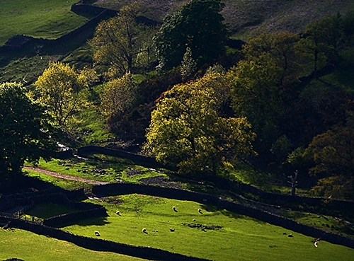迷你世界转轴方块用法做飞机