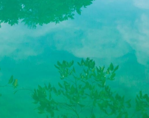上海灵至科技与上海浦灵生物科技详解