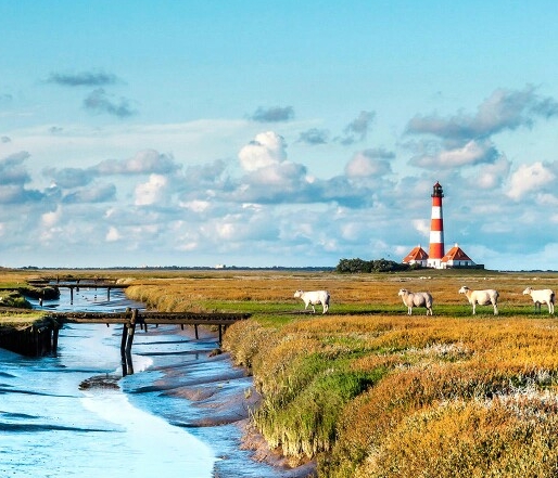 路遥人生中的爱情观