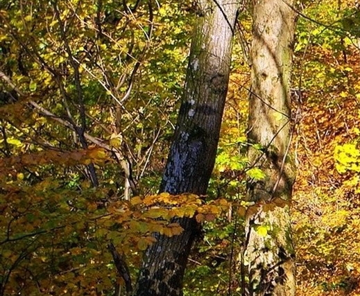 我的世界无尽贪婪终极工作台怎么做