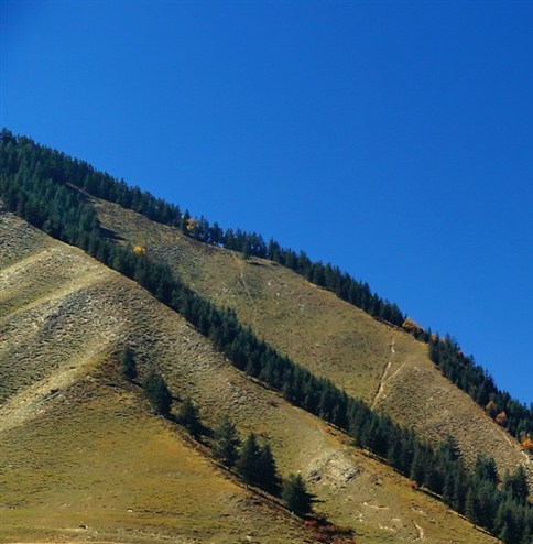 西安圣天建筑工程科技有限公司