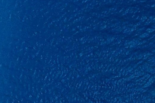 上海威昂生物科技有限公司官网