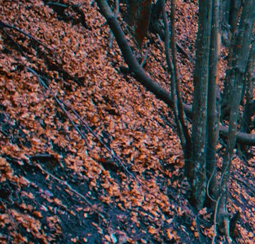 如何看待三年的伟大抗疫精神