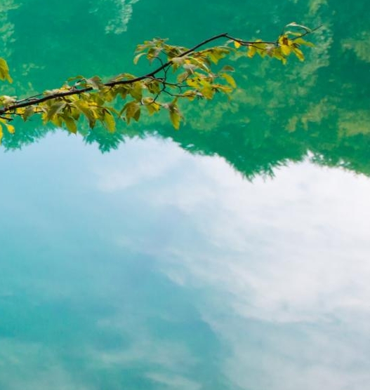 上海兴国宾馆接待过哪些人