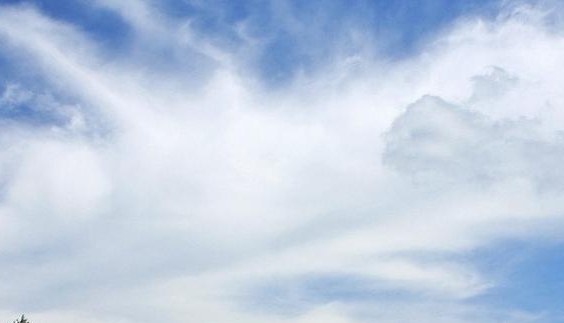 归还世界给你全集在线播放免费