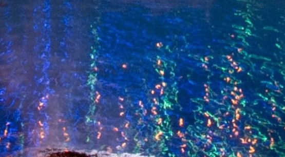 北京碧水源反渗透膜