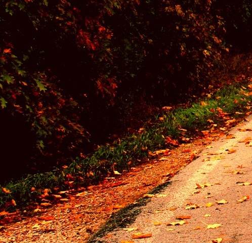 监控核心交换机怎么配置