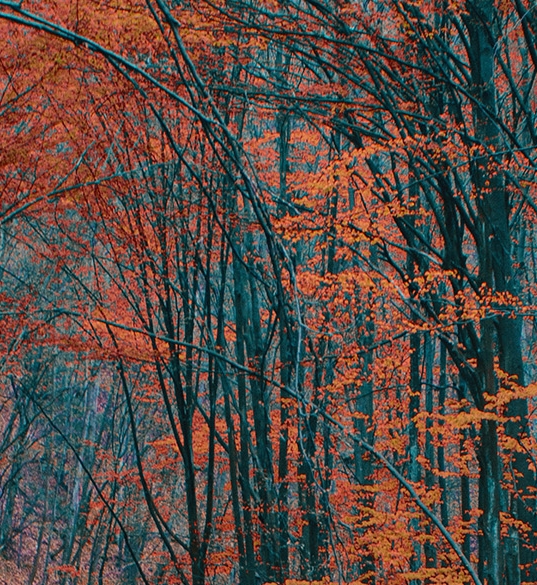 啤酒肚躺下视频