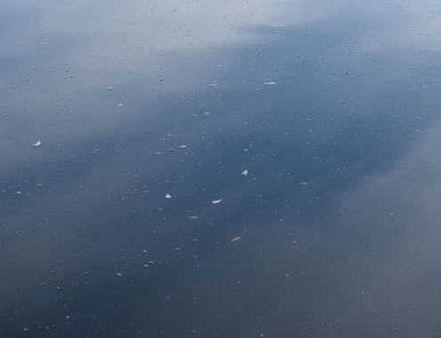 萧山电子科技大学