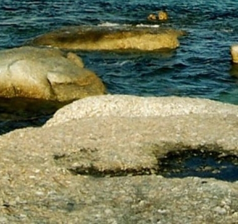 黄家驹纪念和平手势