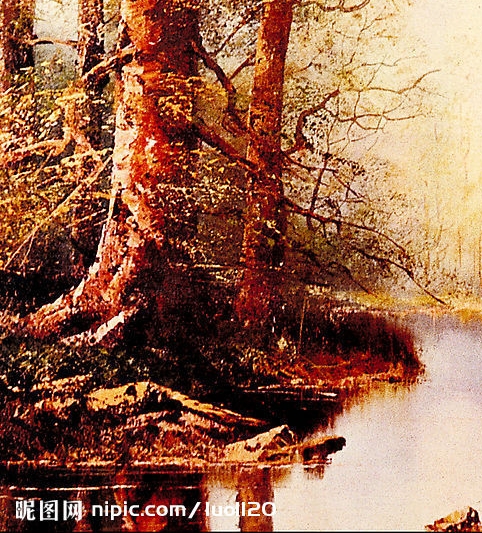 宁波大学科技学院慈星学院