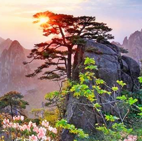 世界大战3游戏英文名