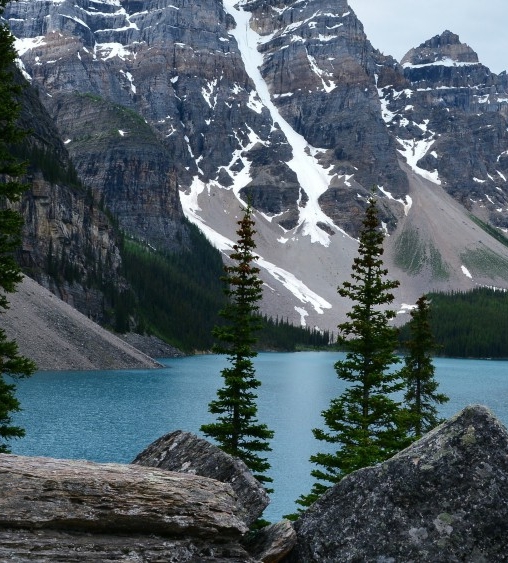 世界上到底有没有瞌睡虫