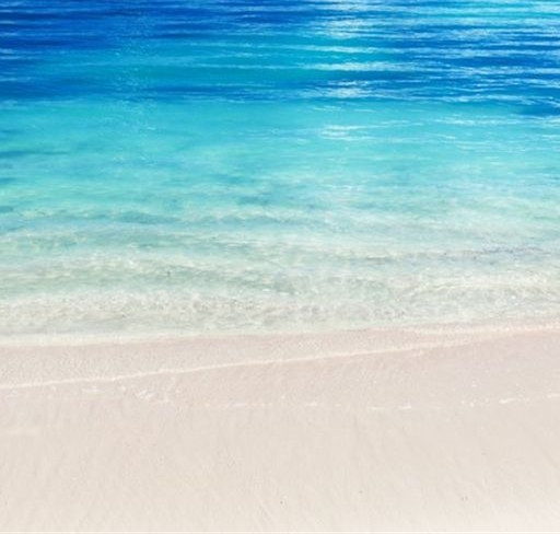 世界各国人口排名前十名