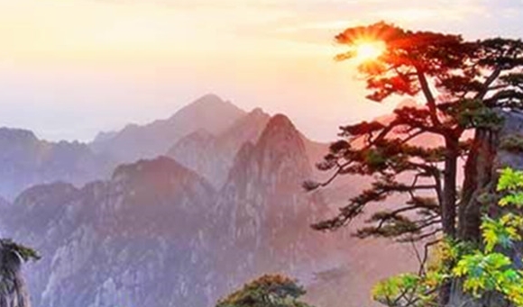 运动会进场口号朗朗上口