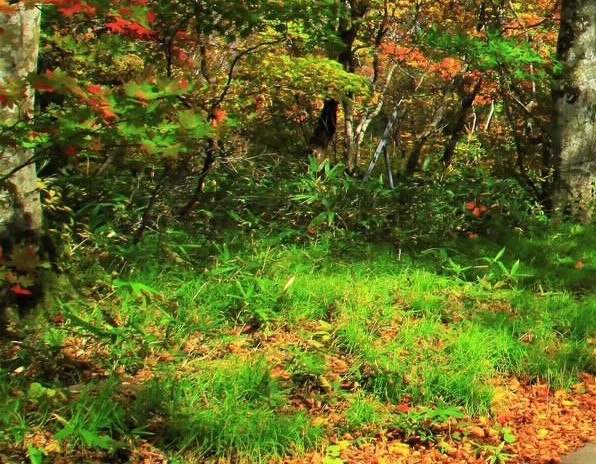 我的世界联机大厅和本地联机有什么区别