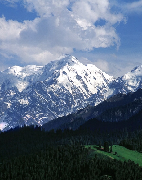 魔方世界红色装备种子