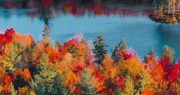 默升科技真的很好吗