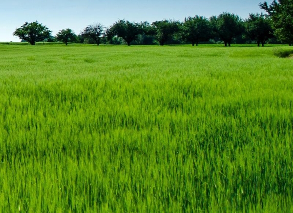 桂林电子科技大学好吗