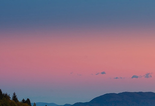 黑暗之魂1绘画世界npc入侵