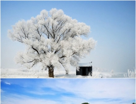 我的世界西瓜结果要多久