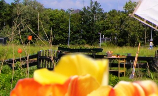 安徽科技学院火了一把