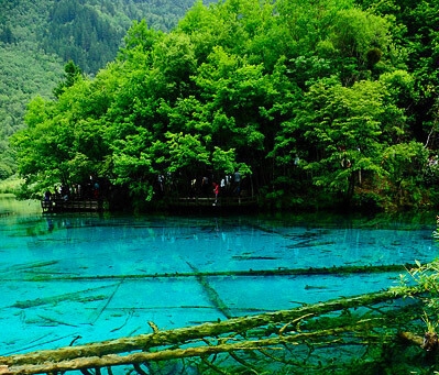 成都科技公司电话
