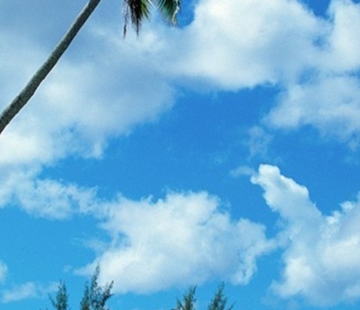 世界公认最好听的歌