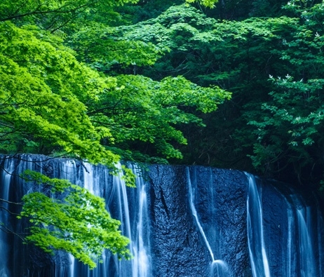 职场宫斗
