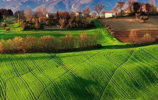 合纵光电是国企吗