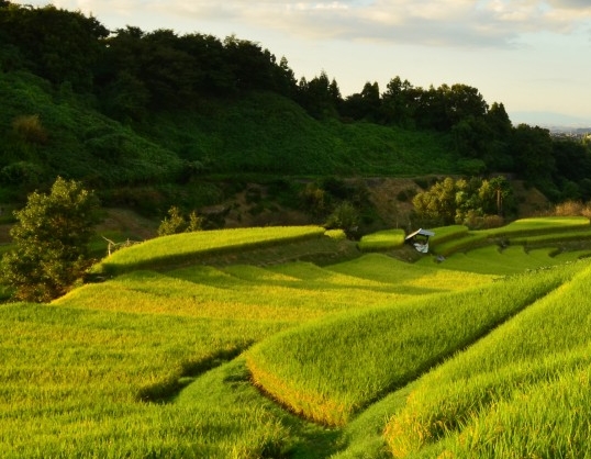 我的世界末影人找不到