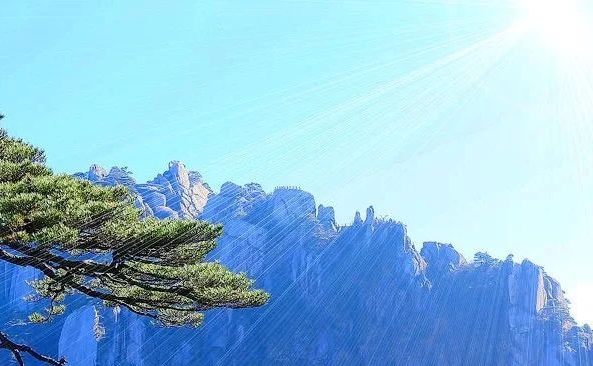 我的世界白色末影人