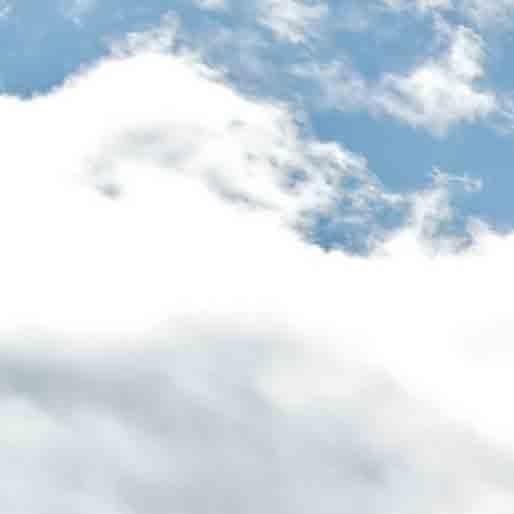 世界上最大的鱼是啥鱼