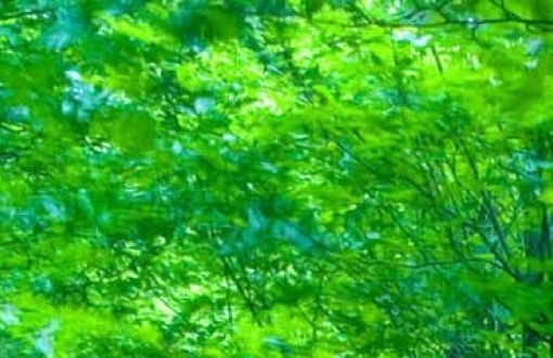 高中核心素养:高中核心素养：培养与内涵