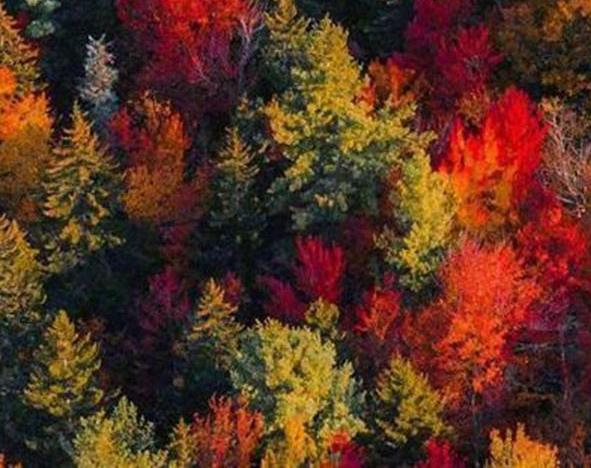 平凡的人生电视剧