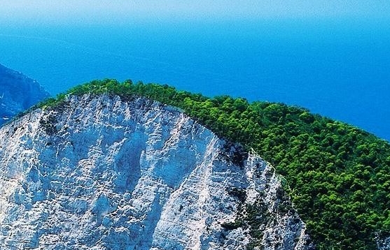 东莞市笨鸟网络科技有限公司