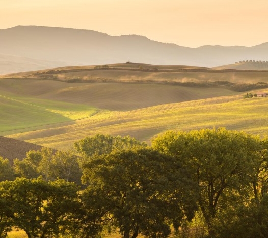 真正的魔鬼鱼图片