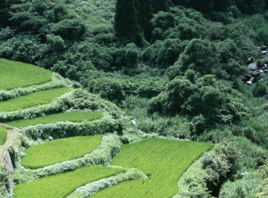 创意色彩油画