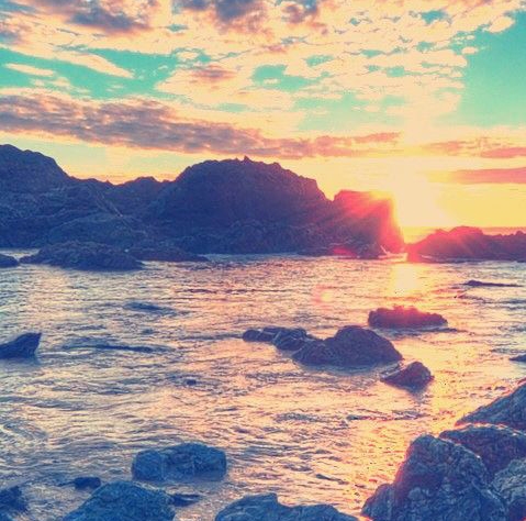 电视剧平凡之路免费视频观看