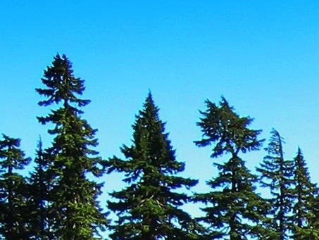 科技面料是什么成分的面料