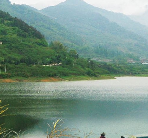 着急这世界没有你是什么歌