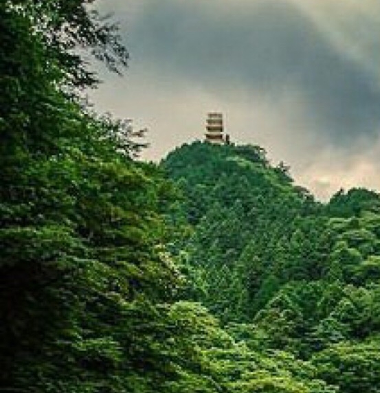 深圳市呤云科技:深圳呤云科技，云之科技，云令科技，创新引领，共创未来
