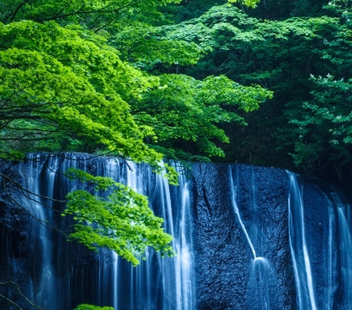 世界和平论坛:第十届世界和平论坛台下质疑引发关注