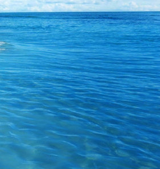 心灵终结终结者任务包1.5网盘