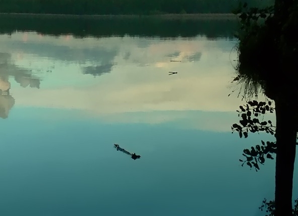 宁波国家科技型中小企业名单公示