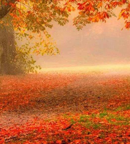 完美世界端游账号交易平台